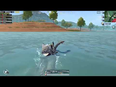 pubg 300 iq epic plays ep.13