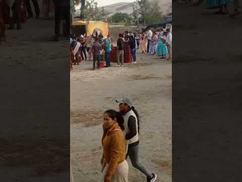 black perro is celestina