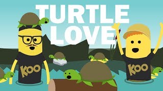Koo Koo - Turtle Love ft. Scratch Garden (Music Video)