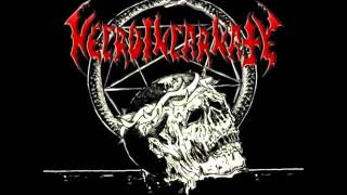 Necroincarnate - Aborted Among A Thousand Corpses