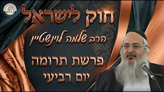 חוק לישראל - פרשת תרומה - יום רביעי | הרב שלמה לוינשטיין (ארגון קול הלשון) - התמונה מוצגת ישירות מתוך אתר האינטרנט יוטיוב. זכויות היוצרים בתמונה שייכות ליוצרה. קישור קרדיט למקור התוכן נמצא בתוך דף הסרטון