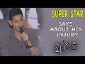 Mahesh Babu Says About His Injury In Spyder Shooting At Spyder Movie Pressmeet Silly Monks