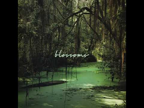 blossoms - alan silvestri (amas veritas)