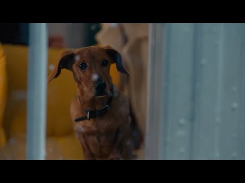 IKEA - Hej Hej Hej! (2024 Christmas Ad)