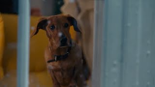 IKEA - Hej Hej Hej! (2024 Christmas Ad)