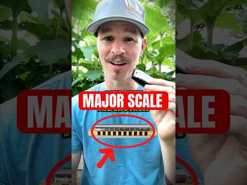 Harmonica Tutorial for Beginners Major Scale #harmonica #blues