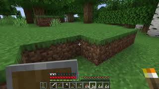 【Minecraft】ちゃんけいのマインクラフト日記 5日目 5日目にして初の睡眠、社畜生活から脱出