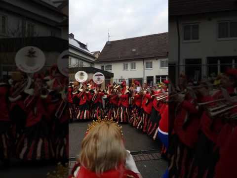 Fasching 2017 in Gochsen
