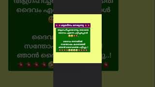 Download lagu ശുഭദിനം നേരുന്നു, ദൈവത്തെ പറ്റിക്കാം 🙏🙏🙏🙏 mp3 Download lagu ശുഭദിനം നേരുന്നു, ദൈവത്തെ പറ്റിക്കാം 🙏🙏🙏🙏 mp3