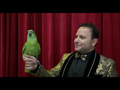 A Napoli l'unico pappagallo-tenore che intona "'O sole mio"