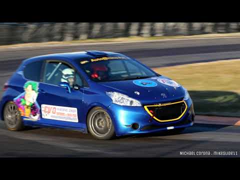 Test pre Adria Rally Show (Crepaldi-Trivellato) 208 R2B