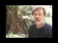 Terence McKenna On Today S Choatic Times