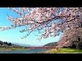 Music by KARUNESH - Japanese Spring 
