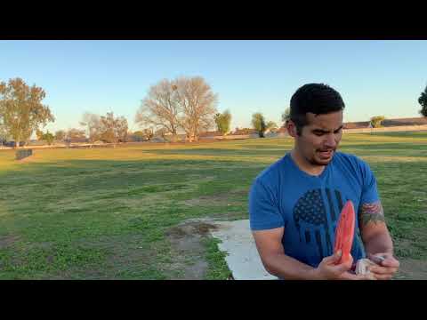 Mint Discs Longhorn vs. Streamline Trace - Battle of The Eleven Speeds