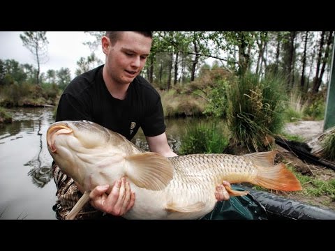 Return to Rainbow - The Ultimate Challenge - Part 1