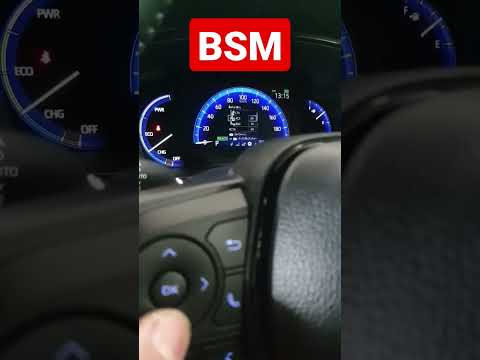 Bsm rcta toyota
