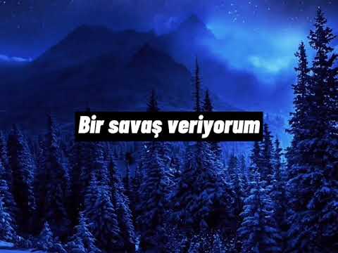 Sia- I’m still here (Türkçe Çeviri)