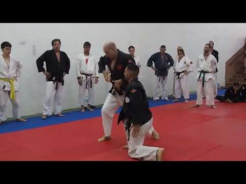 RENRAKU WAZA JU JITSU