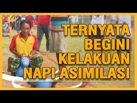 VIRAL KARYA NAPI ASIMILASI LAPAS/RUTAN "MARHABAN YA RAMADHAN"