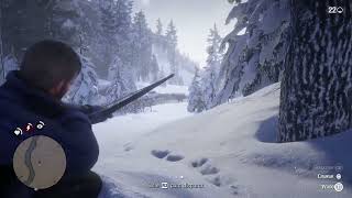 004 - As consequências da gênese