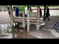 Detroit Zoo Visit Pt 2