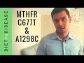 MTHFR Mutations C677T and A1298C: Explained In Plain English