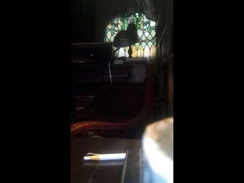 Why can't you...Jack Hilton and his Orchestra