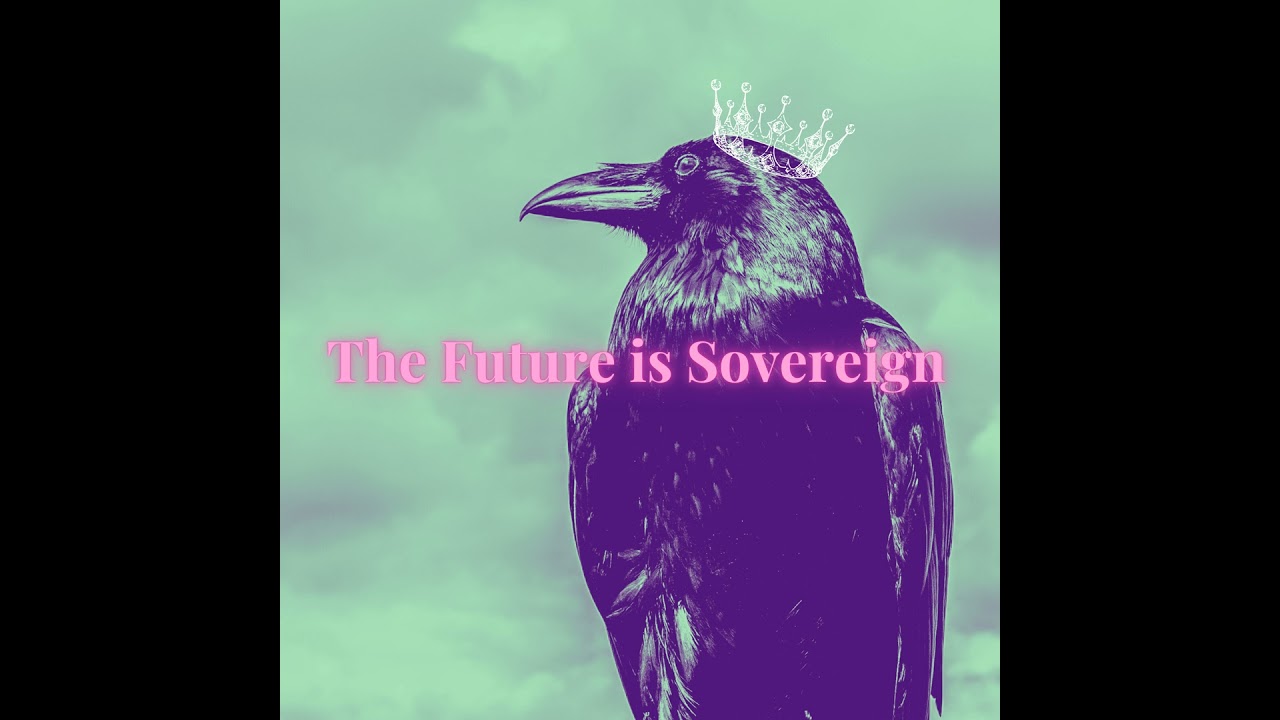 The Algorithm Owns You—How to Reclaim Your Digital Sovereignty