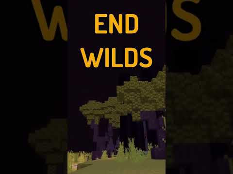 End Wilds: A New Minecraft End Update Biome!