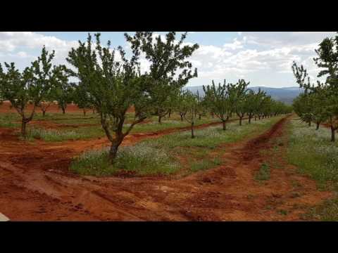 07 - Bombeo solar riego directo 5,5 HP día nublado campo almendros (cuadro pantalla táctil)
