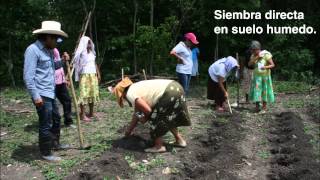 preview picture of video 'Silos de Agua (Lluvia Sólida) en la Huastéca Potosina'