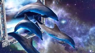 Dolphins Lullaby