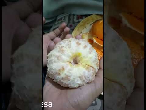 Fresh Orange #Shorts #Youtubeshorts #FunwithNafeesa