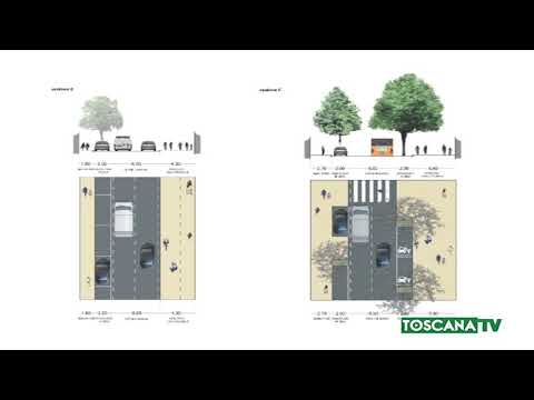 2019-01-18 PRATO - VIALE MONTEGRAPPA, DOMANI VIA AL TAGLIO DEGLI ALBERI