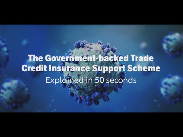 Government support scheme Government support scheme