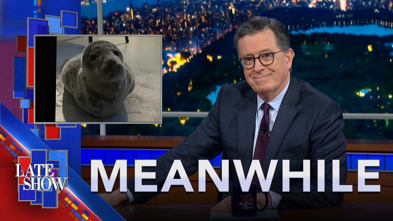 Meanwhile... Seal Rescue In Connecticut | NYC Can't Stop Turnstile Jumpers | Baby Born On NYC Subway