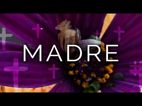 924-IT Sophie, MADRE - Ipnosi Esoterica ∞ Lucio Carsi