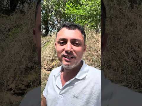 Visita a unha das pernas do Rio Sergipe entre Feira Nova e São Miguel do Aleixo 