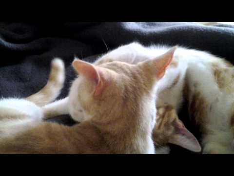 Cate and Lib bath for two