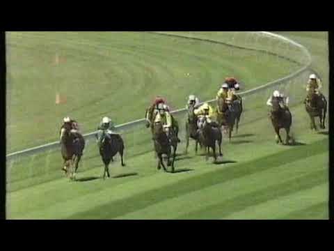 1990 Hobartville Stakes - Shaftesbury Avenue