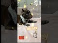 Барни Barney 2024