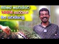 මෙහෙම පැල කලොත් හැම ඇටයක්ම පැලවෙනවා Tips