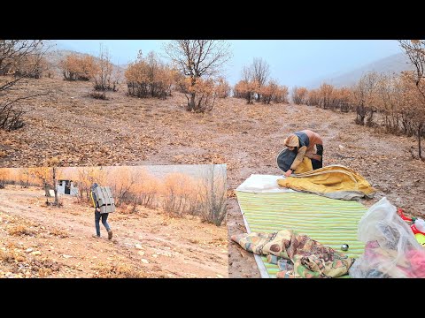 The bitter story of a homeless couple in the cold and rain🥹