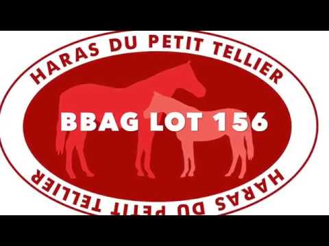 LOT 156 -  BBAG 2017