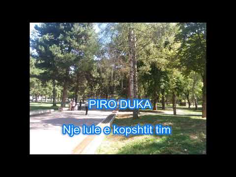PIRO DUKA - SERENATE - Nje lule e kopshtit tim