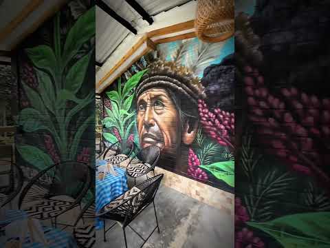 Las mejores Ecocabañas en Antioquía en estan en San Carlos