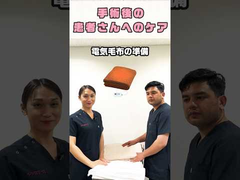 電気毛布は冬に使用するだけじゃない #shorts