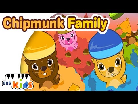 EBS Kids Song - Chipmunk Family