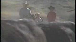 preview picture of video 'Pryor Mountains Cattle Drives with Hidden Trails'