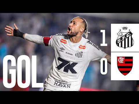 SANTOS x FLAMENGO | GOAL | BRAZILIAN CHAMPIONSHIP (07/16/25)